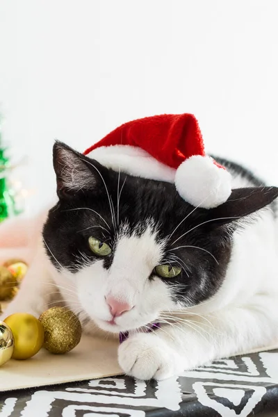Eine Vertikale Aufnahme Einer Weißen Und Schwarzen Katze Mit Weihnachtsmannmütze — Stockfoto