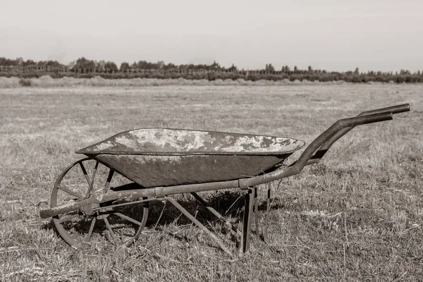 Colpo Scala Grigi Una Vecchia Carriola Lamiera Campo — Foto Stock