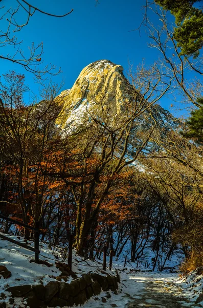 韩国Bukhansan国家公园的垂直拍摄 — 图库照片