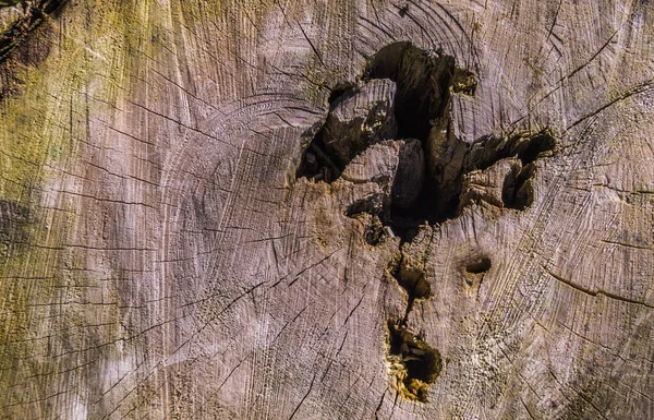 Överblick Över Stubbe Ring Ett Fält Dagsljus — Stockfoto