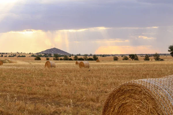 Una Vista Del Paisaje Los Campos Atardecer — Foto de Stock