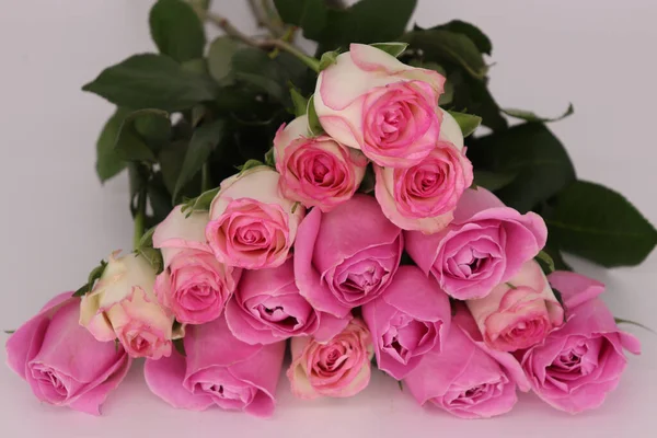 Крупним Планом Рожевий Трояндовий Букет Білому Тлі — стокове фото