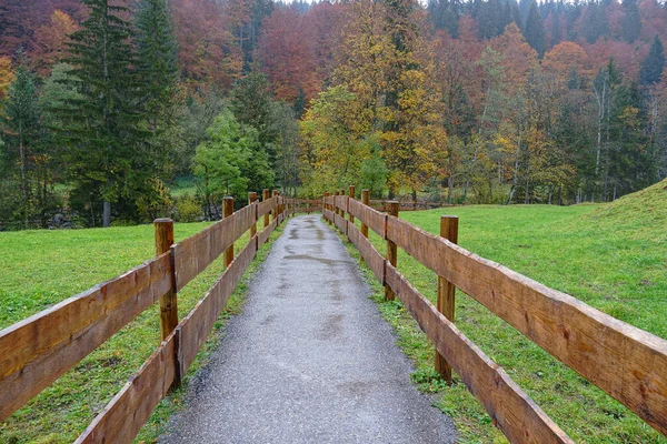 Una Cerca Madera Que Conduce Bosque Otoñal Cerca Oberstdorf Allgaeu —  Fotos de Stock