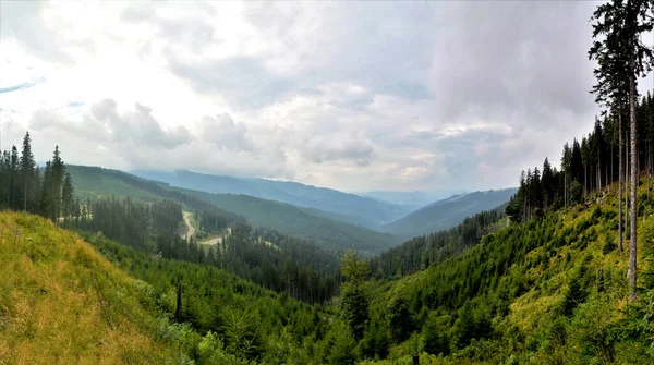 Высокоугольный Снимок Пейзажа Дороги Трансрарау Гор Рарау Румынии — стоковое фото
