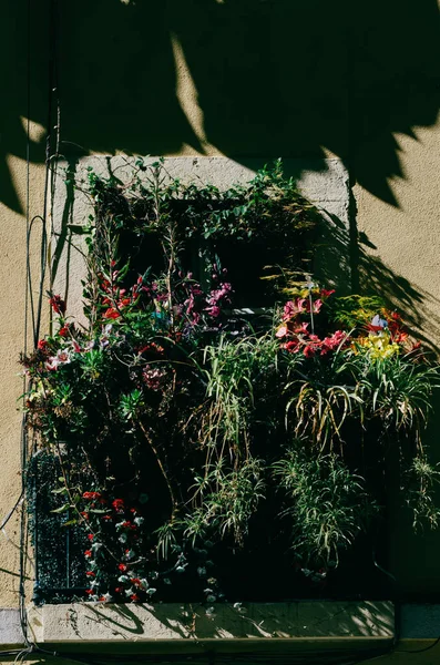 Vertikal Bild Balkong Fylld Med Växter Och Blommor — Stockfoto