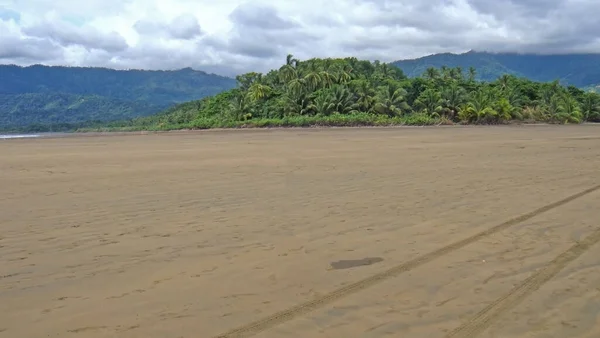 Plage Près Forêt Tropicale Sous Ciel Nuageux — Photo