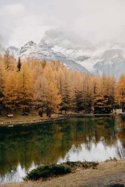 Een Verticaal Schot Van Een Reflecterende Kalme Berg Plas Herfst — Stockfoto