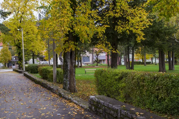 Piękna Scena Jesienna Parku Drzewami Krzewami Miejscowości Gracac Velebit Chorwacja — Zdjęcie stockowe