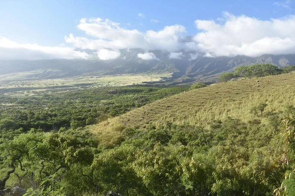 Hawaii Maui Adasında Bulutlu Yeşil Bir Çiftlik Manzarası — Stok fotoğraf