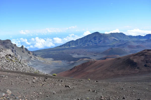 毛伊火山盾与全景岩石火山景观的特写镜头 — 图库照片