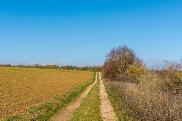 Een Prachtig Shot Van Een Straat Een Groen Veld — Stockfoto