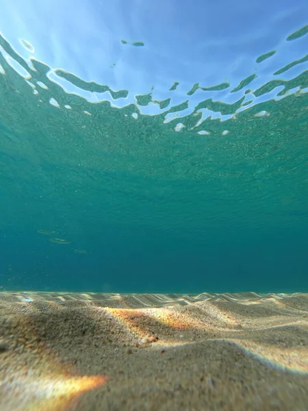 Een Verticaal Shot Van Het Onderwater Van Oceaan Costa Brava — Stockfoto