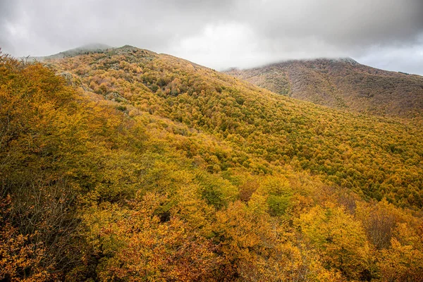 Paysage Massif Montseny Couvert Hêtres Sous Ciel Nuageux Espagne — Photo