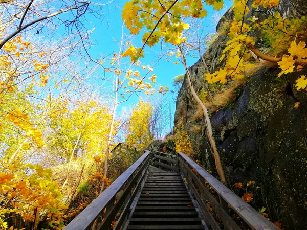 Dech Beroucí Záběr Dřevěné Stezky Během Podzimu Norském Larviku — Stock fotografie