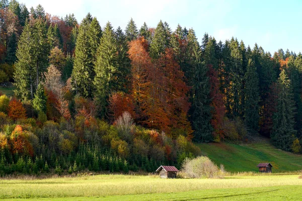 Две Деревянные Хижины Олгау Возле Оберстдорфа Германия Осенний Пейзаж — стоковое фото
