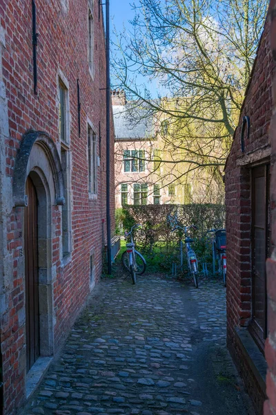 Vertikální Záběr Budov Starém Městě Leuven Belgie — Stock fotografie