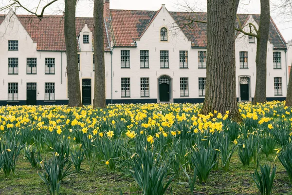 Den Berömda Beguinage Brygge Belgien — Stockfoto