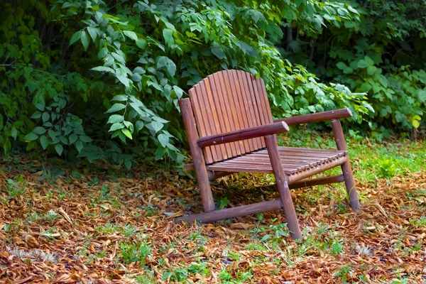 Una Silla Madera Vintage Antigua Jardín Cubierto Con Follaje Hojas — Foto de Stock