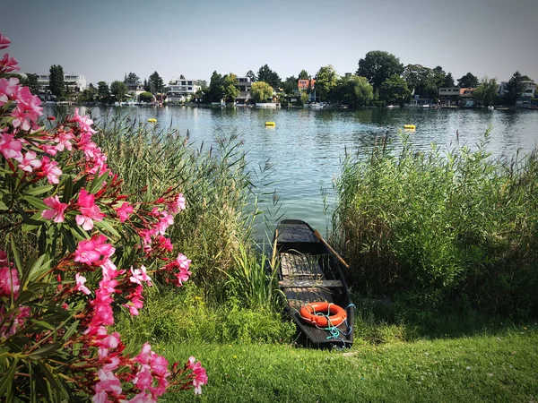 Régi Faevezős Csónak Alte Donau Folyó Partján Bécsben Ausztriában Rózsaszín — Stock Fotó