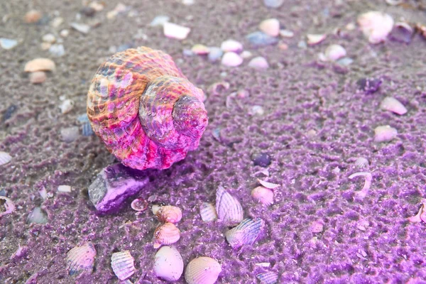 海滩上紫色灯光下一枚炮弹的特写镜头 — 图库照片