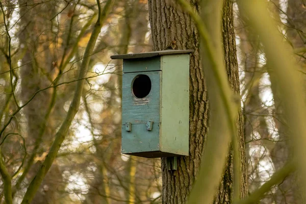 背景に紅葉した木の幹の上の森の中の古い緑のフクロウ鳥の家 — ストック写真