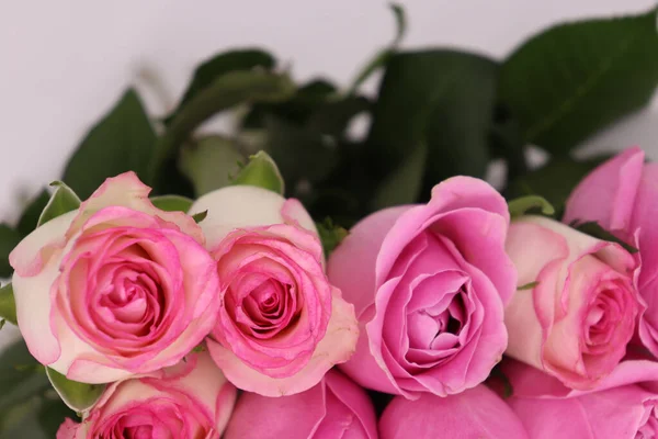 一张粉红色玫瑰花束的特写照片 — 图库照片