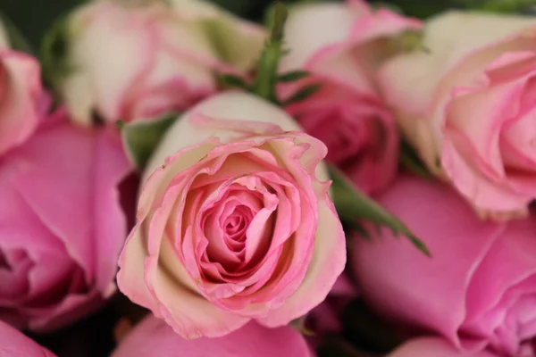 一张粉红色玫瑰花束的特写照片 — 图库照片