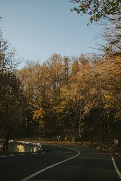 Красивый Снимок Горной Дороги Окруженной Деревьями — стоковое фото