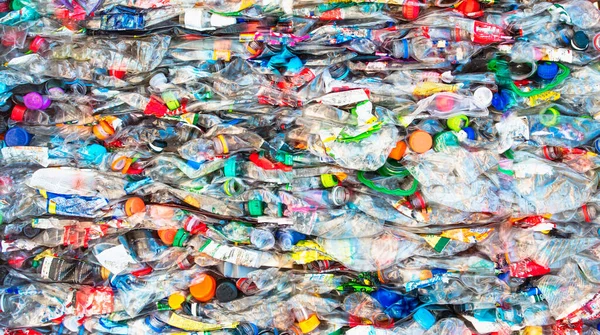 Närbild Plastflaskor För Återvinning — Stockfoto