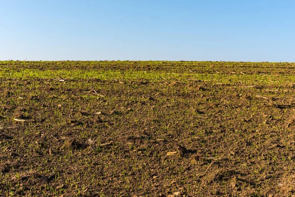 Tiro Uma Terra Cultivada — Fotografia de Stock