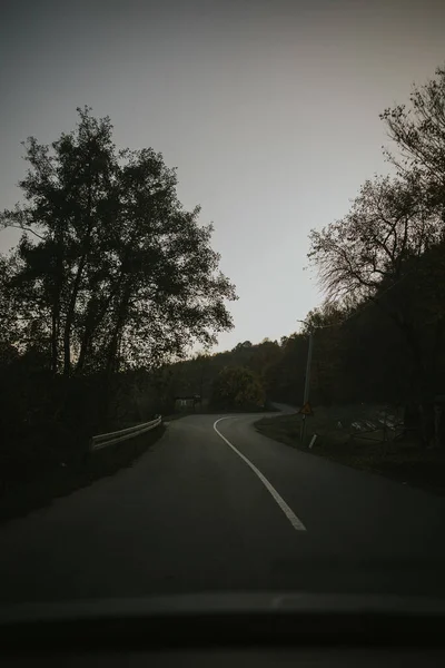 나무로 둘러싸인 산길의 어두운 — 스톡 사진