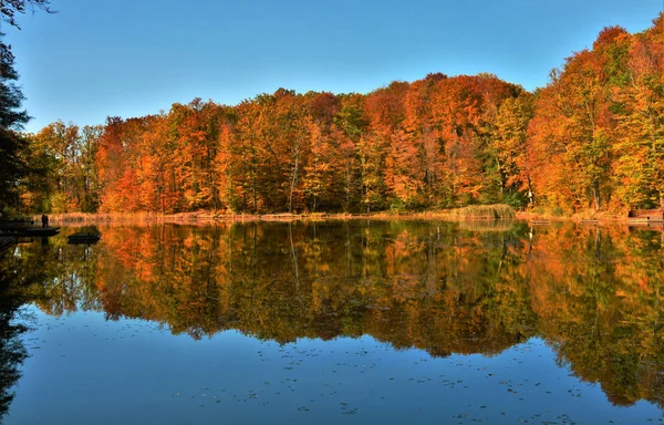 Zbliżenie Ujęcie Jeziora Pięknym Autumn Parku — Zdjęcie stockowe