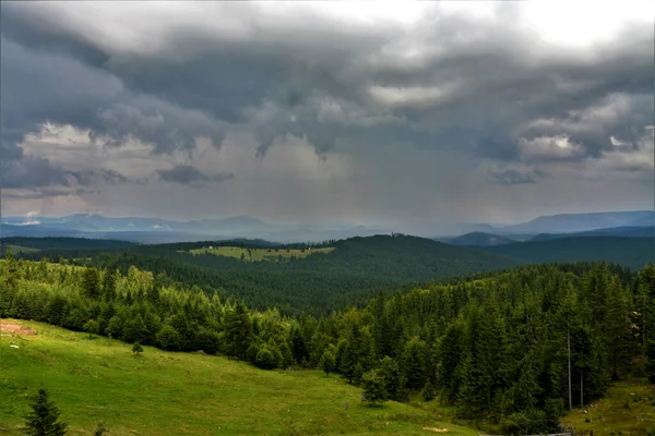 Wysokie Ujęcie Lasów Gór Rarau Rumunii — Zdjęcie stockowe