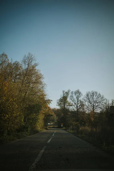 Tiro Escuro Uma Estrada Montanha Cercada Por Árvores — Fotografia de Stock