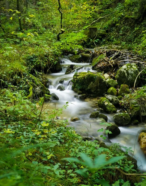 Vertikální Záběr Vodopádového Potoka Zeleném Lese — Stock fotografie