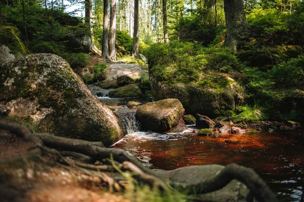 Řeka Main Názvem White Main Nachází Fichtelgebirge Bavorsko Německo — Stock fotografie