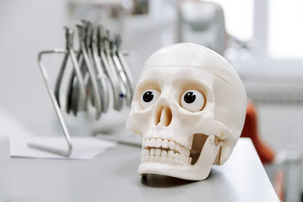 Closeup Shot Human Skull Toy Big Eyes — Stock Photo, Image