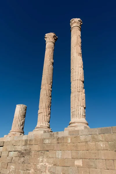 Plano Vertical Los Pilares Las Famosas Ruinas Romanas Timgad Argelia — Foto de Stock