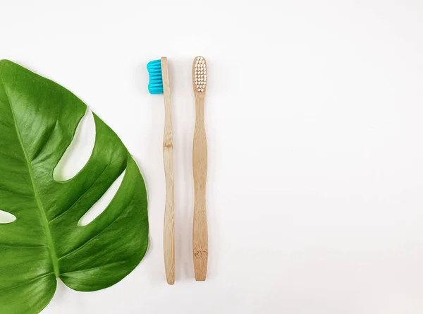 Dvojice Bambusových Zubních Kartáčků Zeleným Listem Bílém Pozadí — Stock fotografie