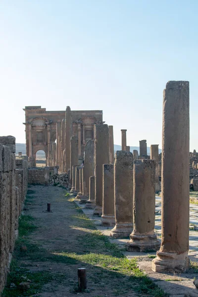 Colpo Verticale Delle Famose Rovine Romane Timgad Algeria — Foto Stock