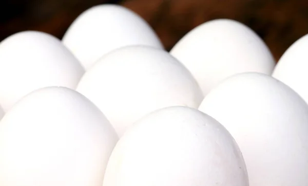 Tiro Perto Ovos Brancos — Fotografia de Stock