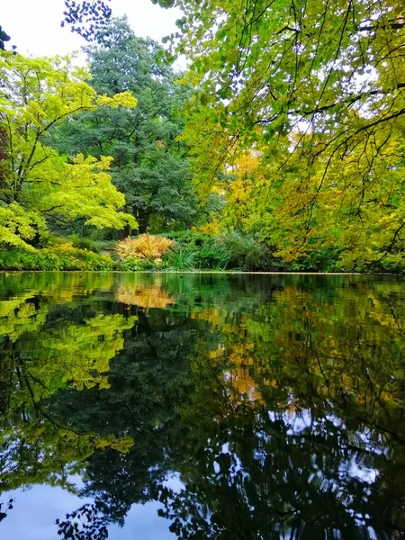 Удивительный Снимок Озера Парке Олимп Гданьск Польша — стоковое фото