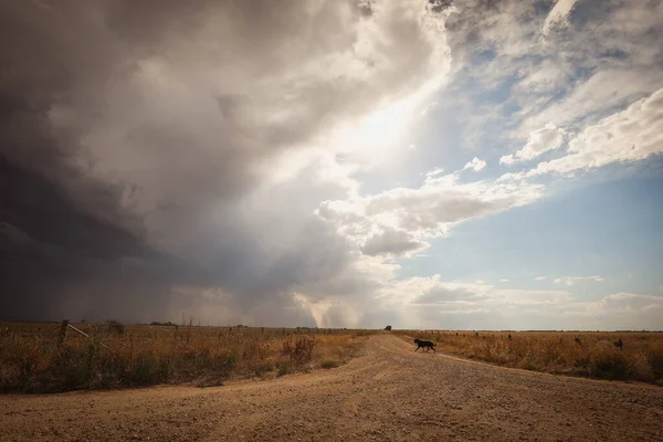 Cielo Tempestoso Sui Terreni Agricoli Rurali — Foto Stock