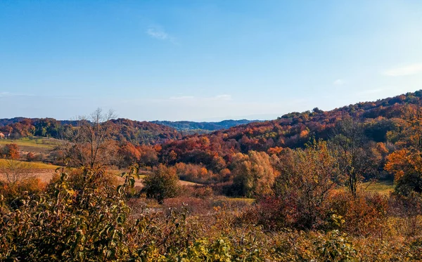 Een Prachtig Shot Van Een Herfst Woud Landschap — Stockfoto