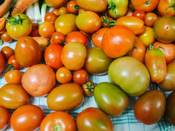 Tomaten Von Oben Betrachtet — Stockfoto