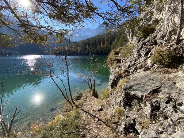 Widok Krajobrazu Tovel Lake Trentino Alto Adige Włoszech Czystym Tle — Zdjęcie stockowe