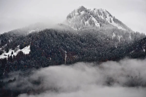 Een Majestueus Shot Van Dicht Beboste Berg Met Besneeuwde Dennenbomen — Stockfoto
