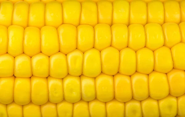 Zbliżenie Żółtych Ziaren Kukurydzy Pod Światłami — Zdjęcie stockowe