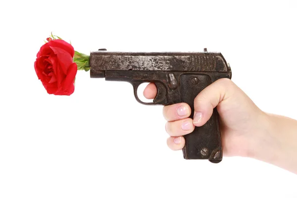 Una Rosa Roja Sobre Arma Aislada Sobre Fondo Blanco — Foto de Stock