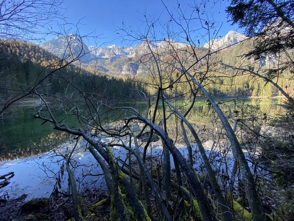 Una Vista Del Paisaje Del Hermoso Lago Tovel Trentino Alto — Foto de Stock